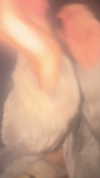 ch111oe Altpins Profile Picture