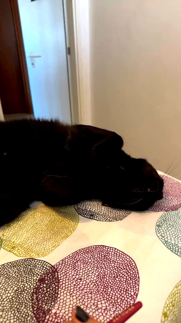 natahalieeee archive video preview