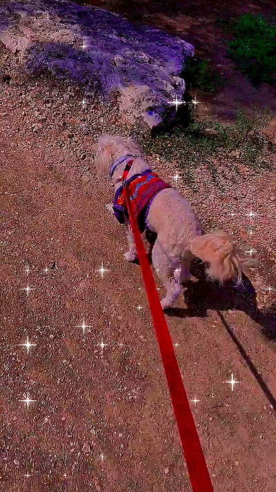 feelbetterinmysweater feelbetterinmysweater archive video