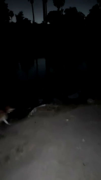 zommmbri zommmbri archive video