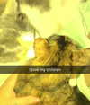 ll3nh3ntai Altpins Profile Picture