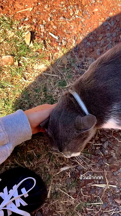 oqr0_ oqr0_ archive video