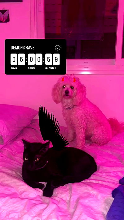 feelbetterinmysweater feelbetterinmysweater archive video