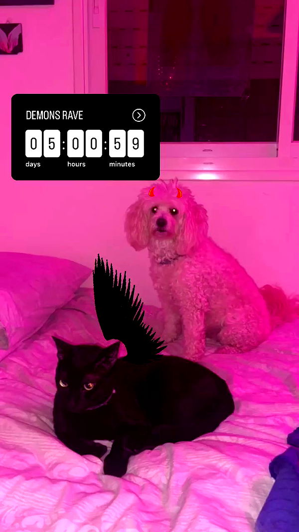 feelbetterinmysweater archive video preview