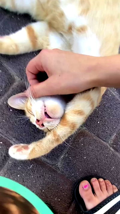 feelbetterinmysweater feelbetterinmysweater archive video