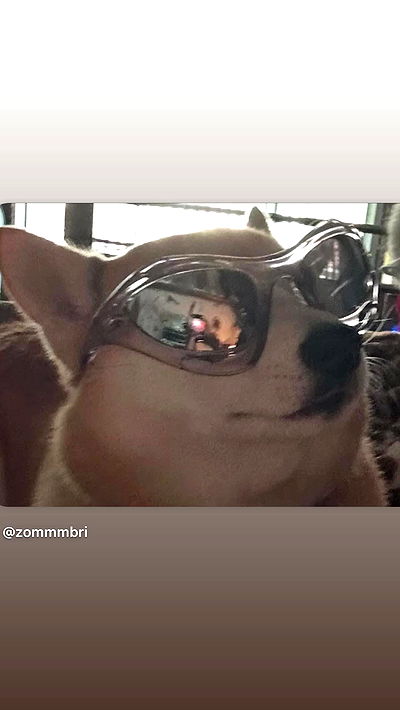 zommmbri zommmbri archive video