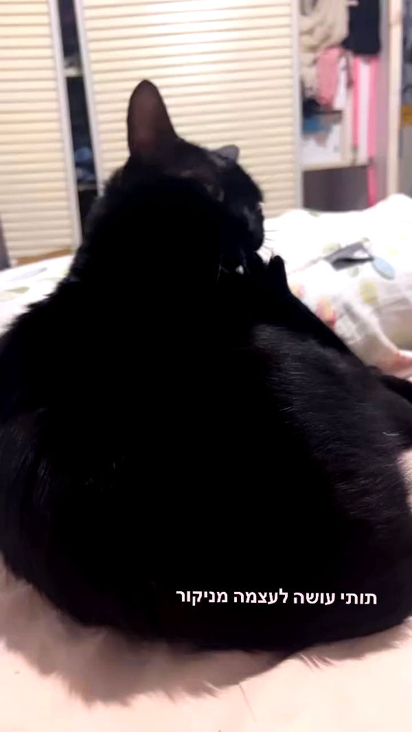 hellokittyangel666 archive video preview