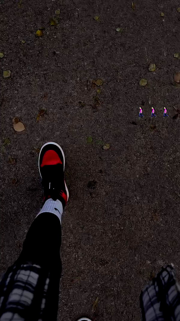 diana.minaev_ archive video preview