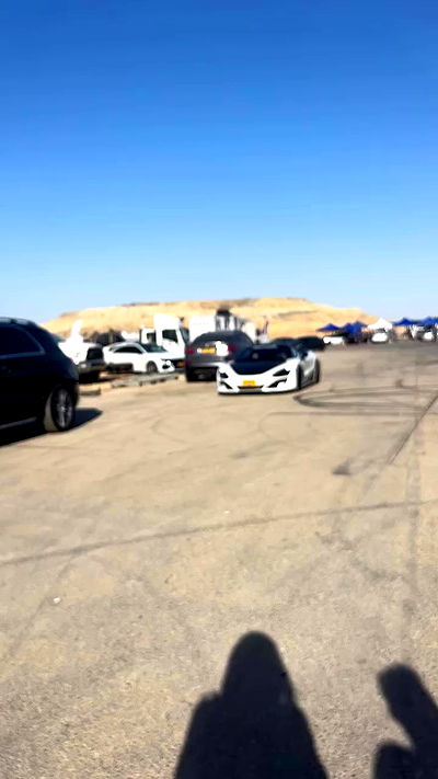 simp_for_cats_ simp_for_cats_ archive video