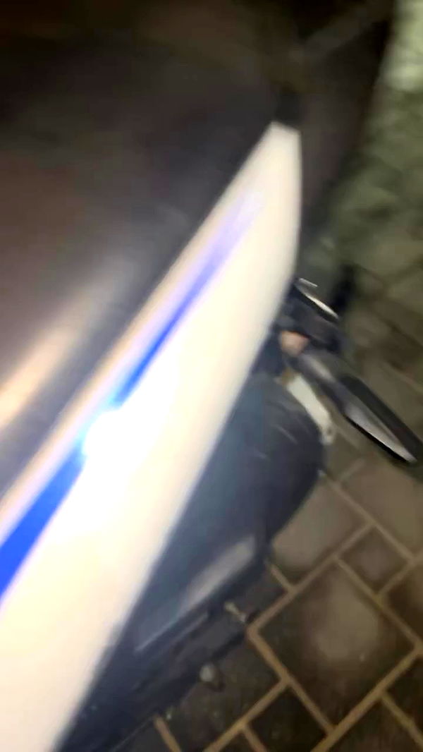 natahalieeee archive video preview