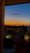 hagarschubert Altpins Profile Picture