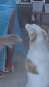 ilana_kotlovker Altpins Profile Picture