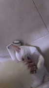 ilana_kotlovker Altpins Profile Picture