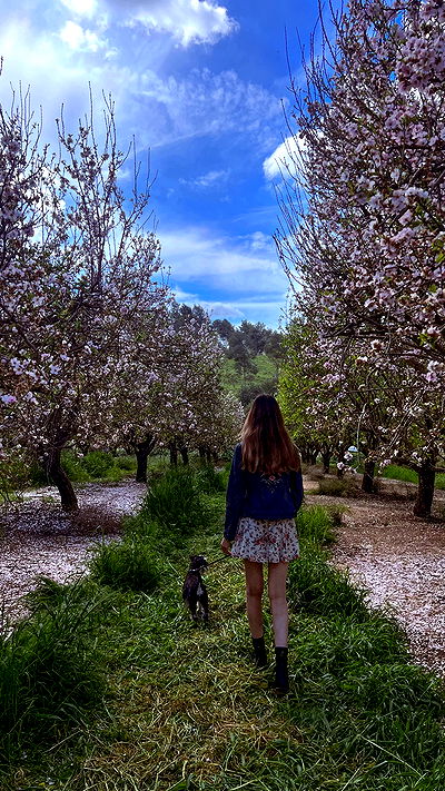 adellepisar adellepisar archive video