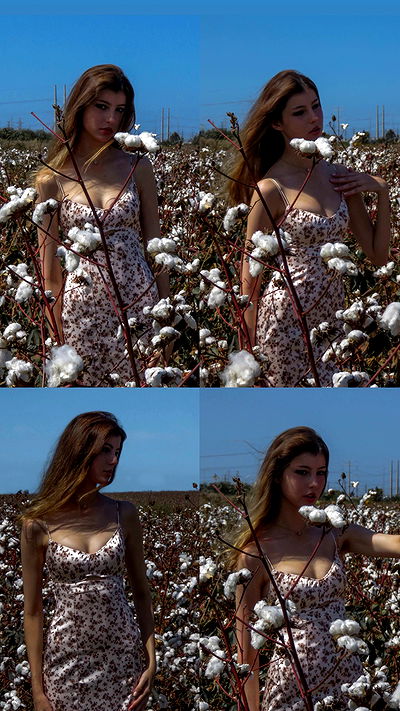 adellepisar adellepisar archive video