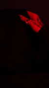 jzabessa Altpins Profile Picture