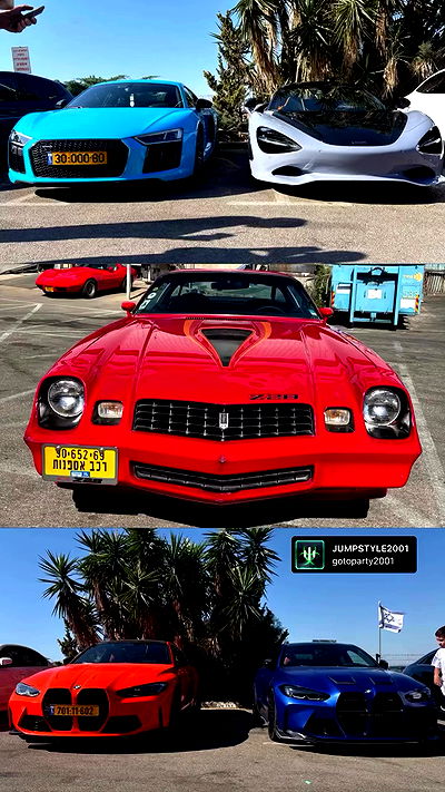 simp_for_cats_ simp_for_cats_ archive video