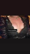 averyygraace Altpins Profile Picture