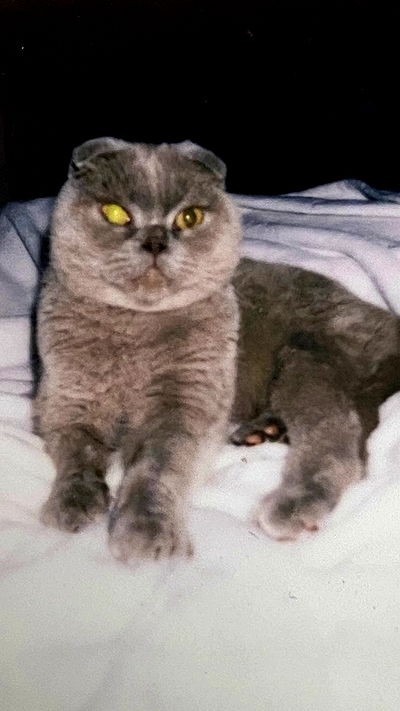 noa_zemlyanski noa_zemlyanski archive video