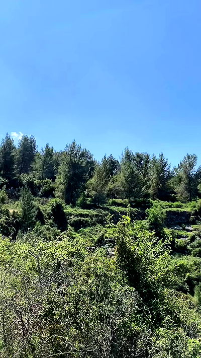 noa_zemlyanski noa_zemlyanski archive video