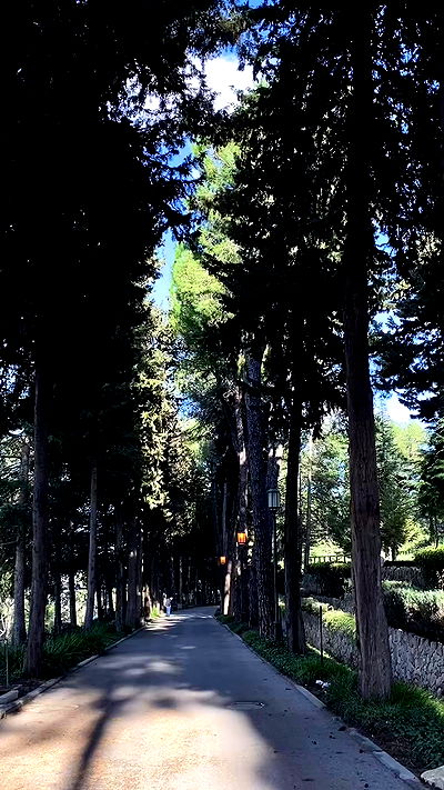 noa_zemlyanski noa_zemlyanski archive video