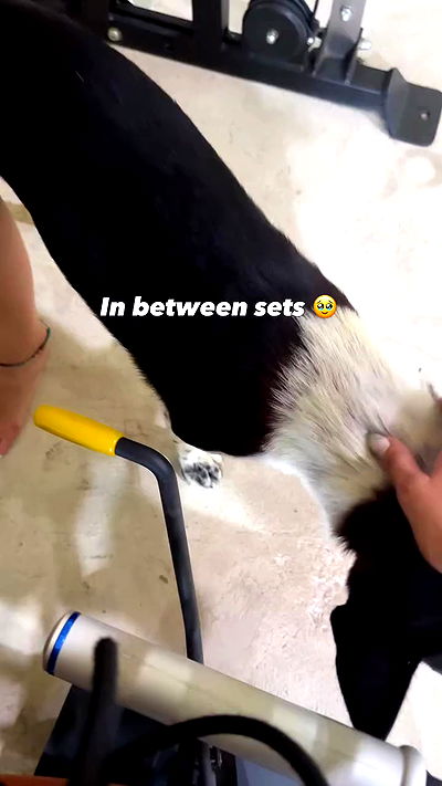 kesemgreenyer kesemgreenyer archive video