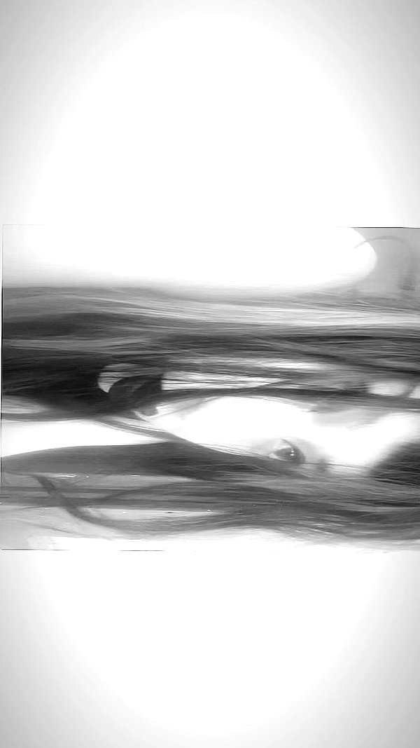 osher_yakir archive video preview