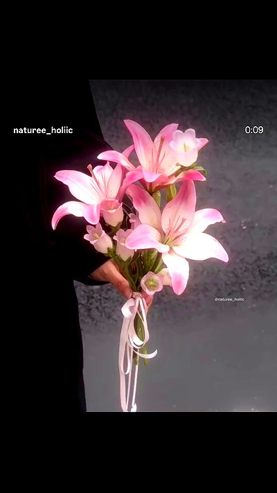 oqr0_ oqr0_ archive video