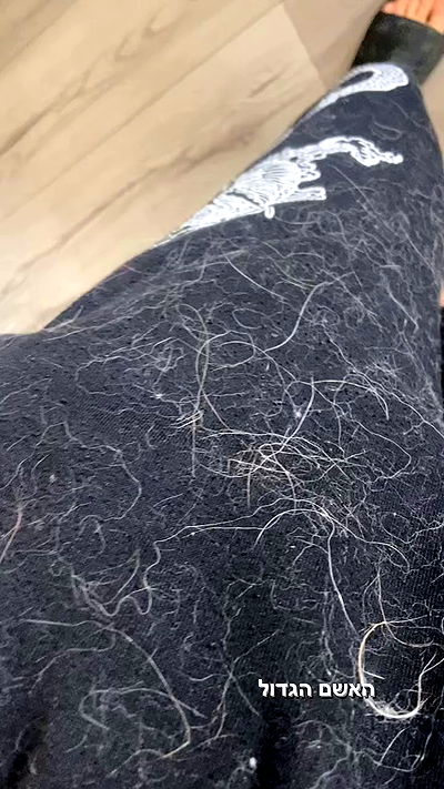 biton__adi biton__adi archive video