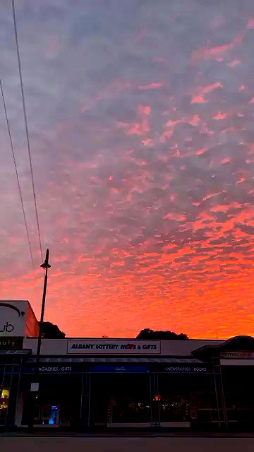 piper.jaylen piper.jaylen archive video