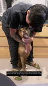 jade.schutte Altpins Profile Picture