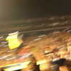 alexuhh_g Altpins Profile Picture