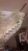 liori_hen Altpins Profile Picture