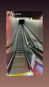 lisush_9 Altpins Profile Picture