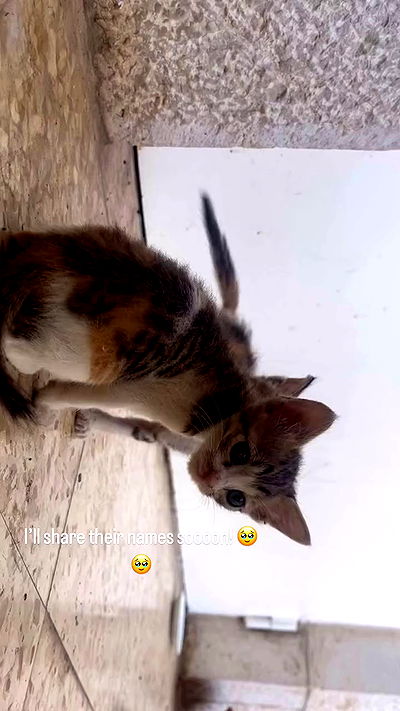 _femalien _femalien archive video