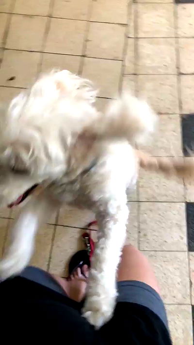 feelbetterinmysweater feelbetterinmysweater archive video