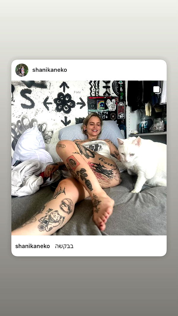 shanikaneko archive video preview