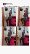 diana_polin Altpins Profile Picture