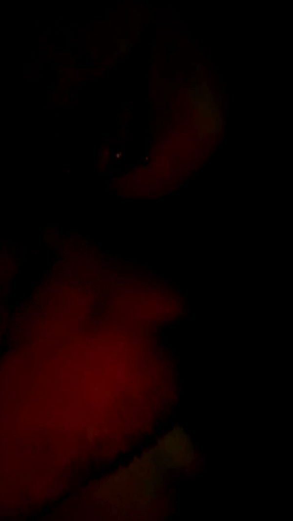 hellokittyangel666 archive video preview