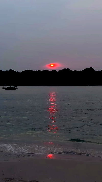 kesemgreenyer kesemgreenyer archive video