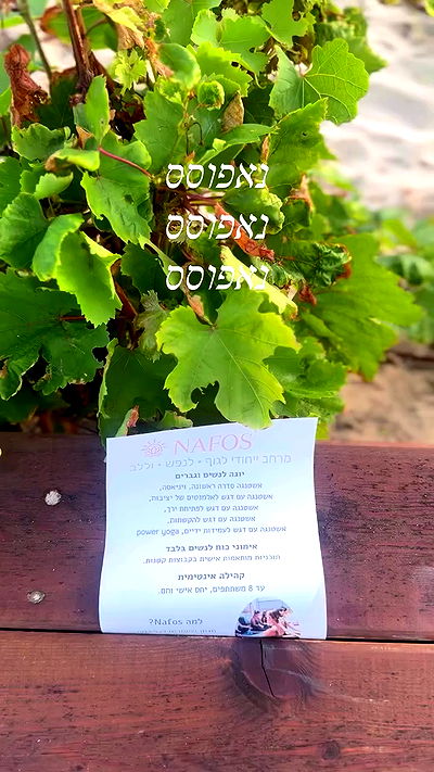 liad.arazi liad.arazi archive video