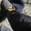 amellliiaa Altpins Profile Picture