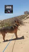 vadim_evs Altpins Profile Picture