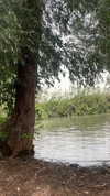 yaell_dahan Altpins Profile Picture