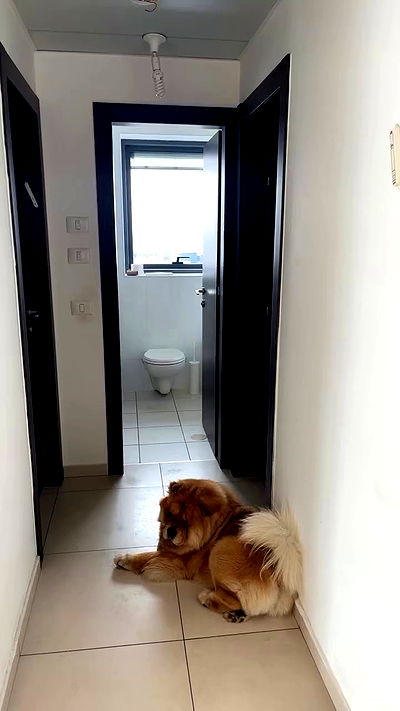 yannaidebeer yannaidebeer archive video