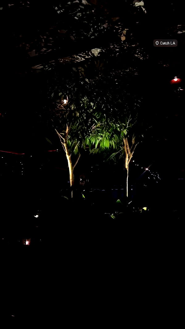 payton.r archive video preview