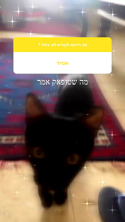 feelbetterinmysweater feelbetterinmysweater archive video