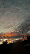 18sandy_ Altpins Profile Picture