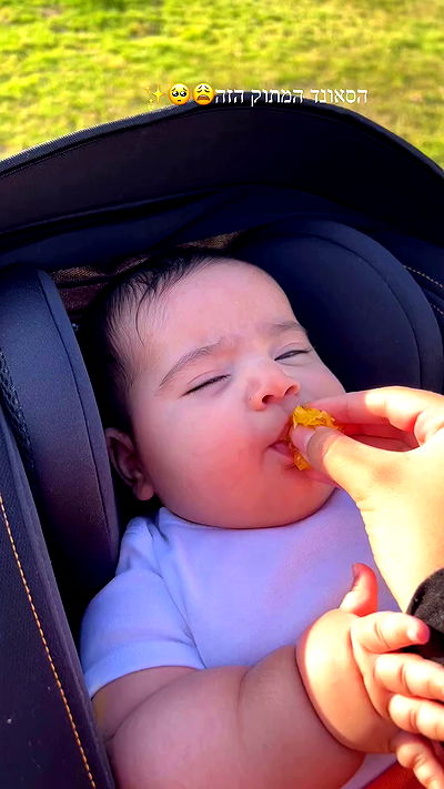 rebecka_tsadok rebecka_tsadok archive video