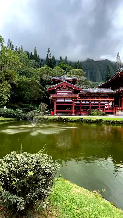 zommmbri zommmbri archive video